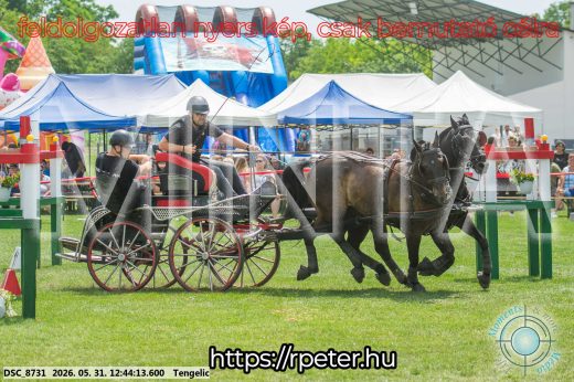 Mintakép 20260531-1756