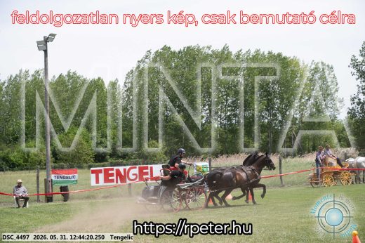 Mintakép 20260531-1761