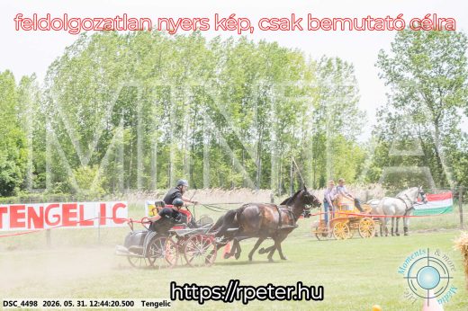 Mintakép 20260531-1762