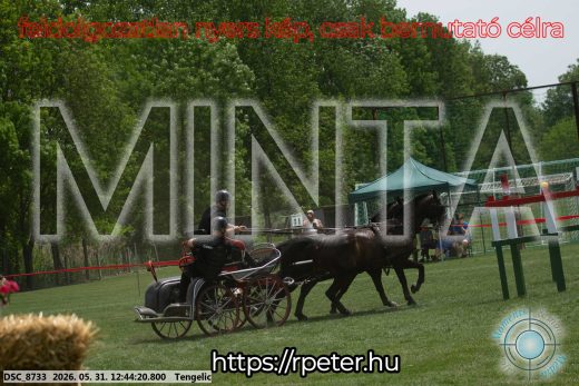 Mintakép 20260531-1763