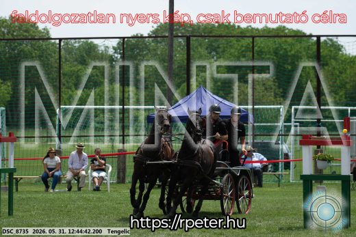 Mintakép 20260531-1765