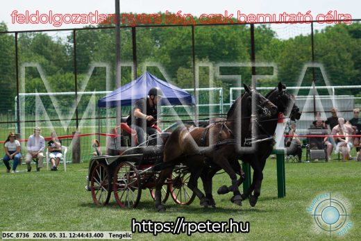 Mintakép 20260531-1766