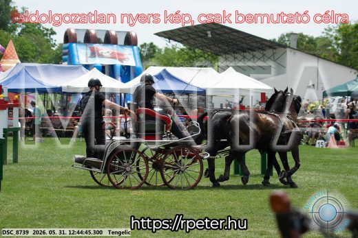 Mintakép 20260531-1768
