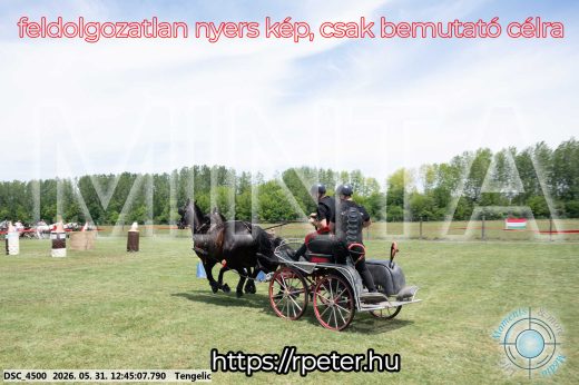 Mintakép 20260531-1770
