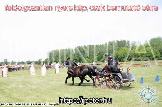 Mintakép 20260531-1771