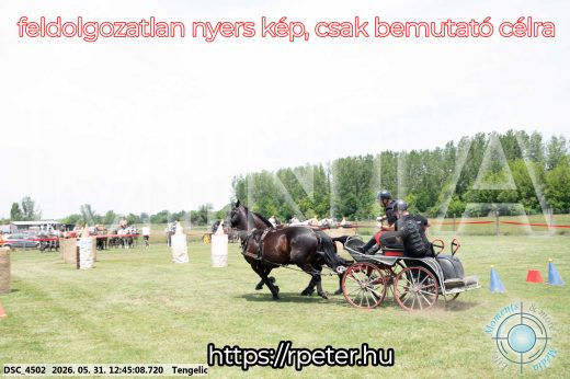 Mintakép 20260531-1772