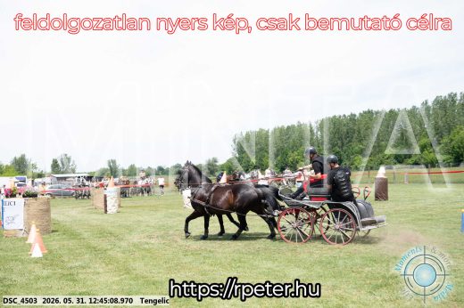 Mintakép 20260531-1773