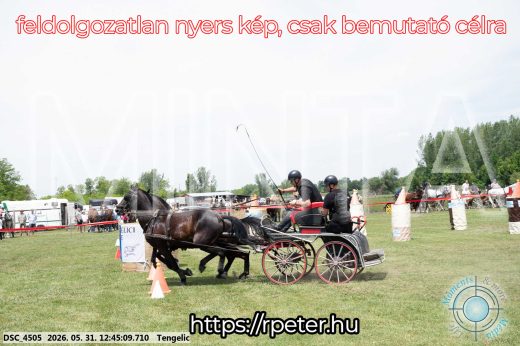 Mintakép 20260531-1775