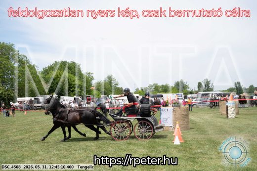 Mintakép 20260531-1778
