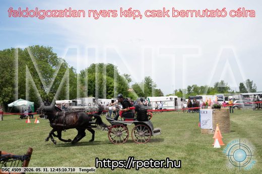 Mintakép 20260531-1779