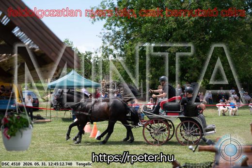 Mintakép 20260531-1780