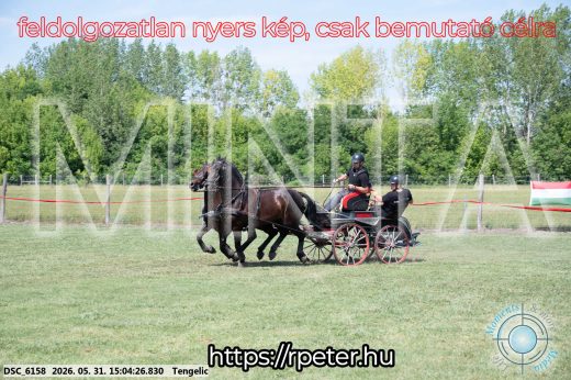 Mintakép 20260531-1782