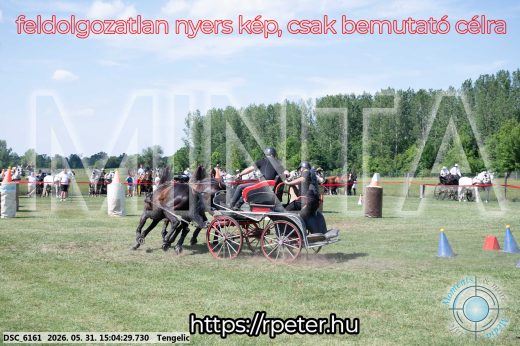 Mintakép 20260531-1783