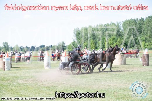 Mintakép 20260531-1784