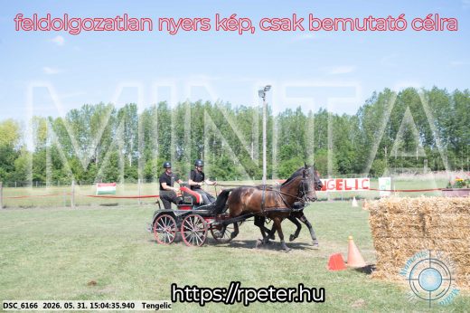 Mintakép 20260531-1785