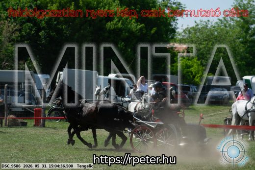Mintakép 20260531-1786