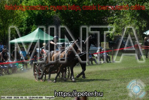 Mintakép 20260531-1787