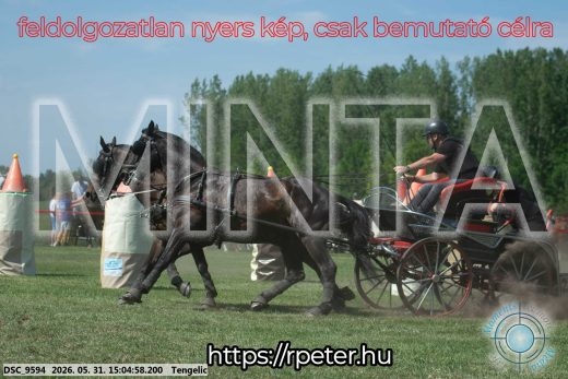 Mintakép 20260531-1789