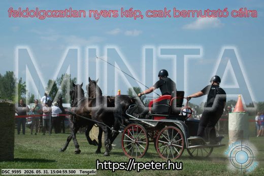 Mintakép 20260531-1790
