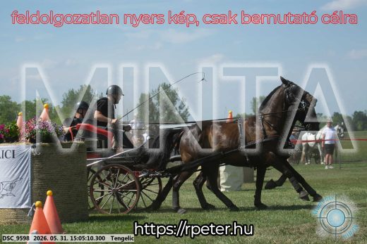 Mintakép 20260531-1792
