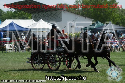 Mintakép 20260531-1793