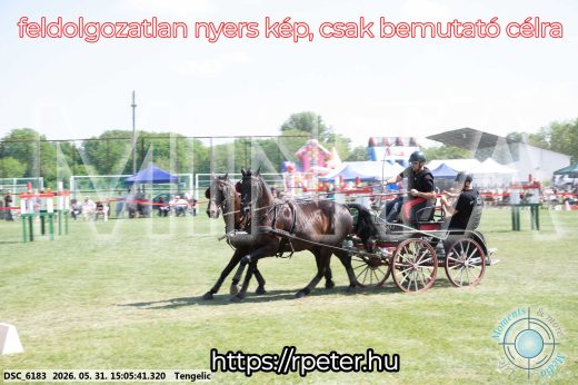 Mintakép 20260531-1794