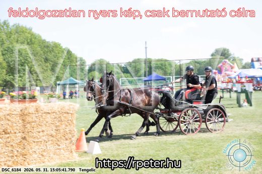 Mintakép 20260531-1795