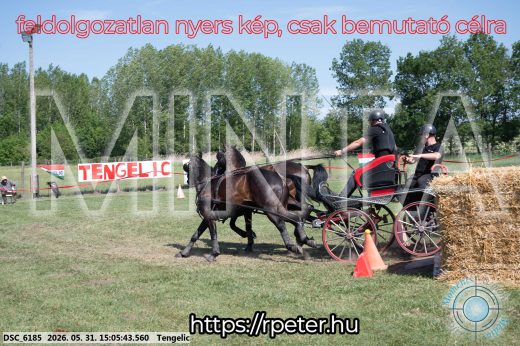 Mintakép 20260531-1796
