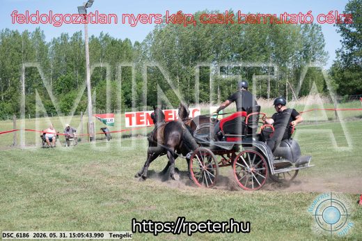 Mintakép 20260531-1797