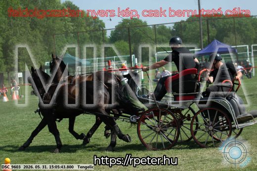 Mintakép 20260531-1798