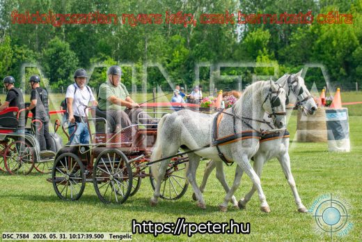 20260531-101739-DSC_7584.jpg
