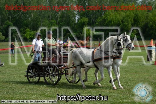20260531-101739-DSC_7585.jpg