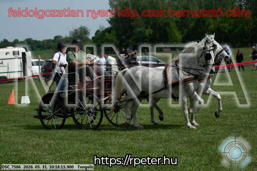 Mintakép 20260531-1814