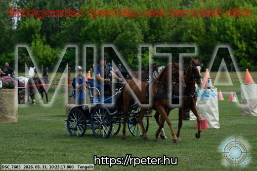 20260531-102317-DSC_7605.jpg