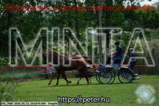 Mintakép 20260531-1863
