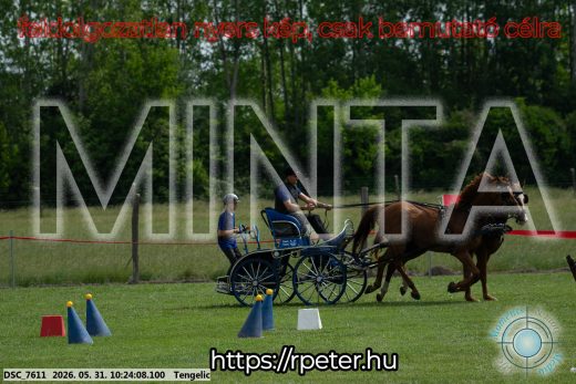 Mintakép 20260531-1866