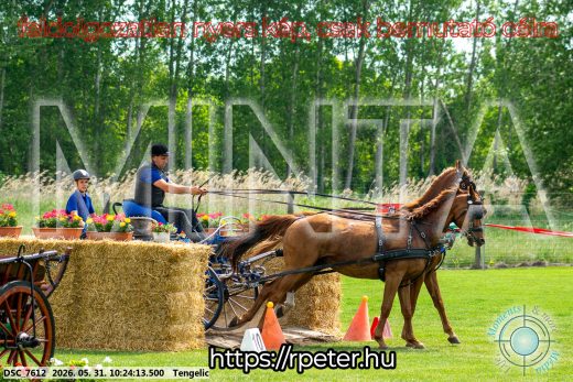 Mintakép 20260531-1867