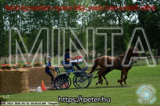 Mintakép 20260531-1868