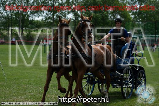 Mintakép 20260531-1869