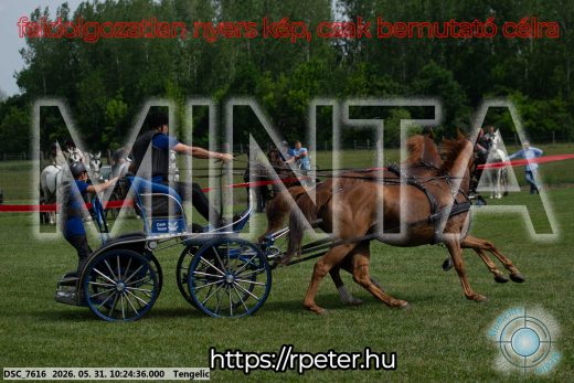 Mintakép 20260531-1871
