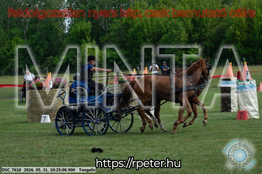 Mintakép 20260531-1873