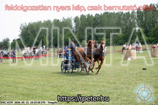 Mintakép 20260531-1874