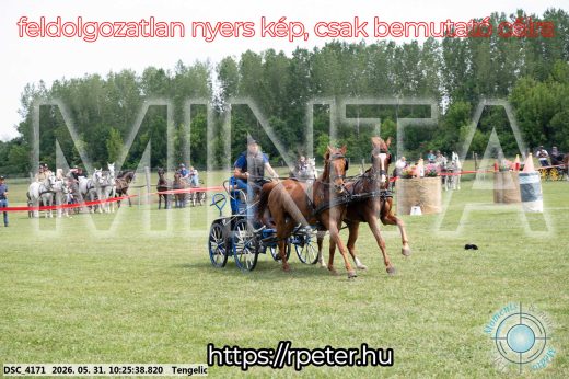 Mintakép 20260531-1875