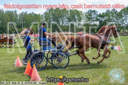 Mintakép 20260531-1876