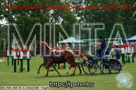 Mintakép 20260531-1878