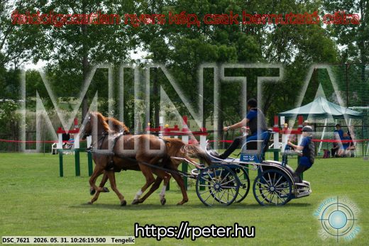 Mintakép 20260531-1879