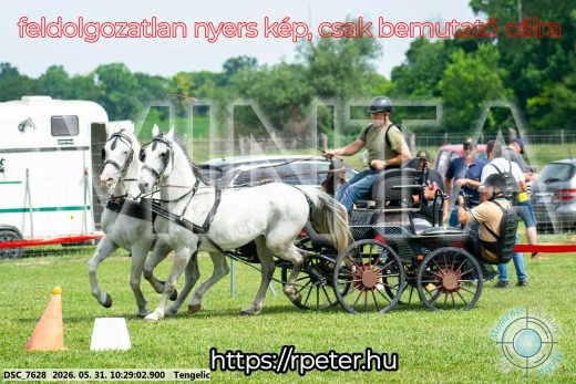 Mintakép 20260531-1887