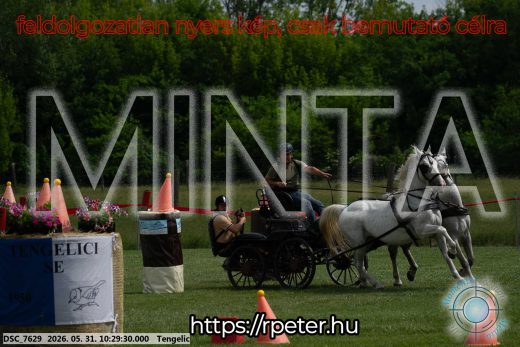 Mintakép 20260531-1889