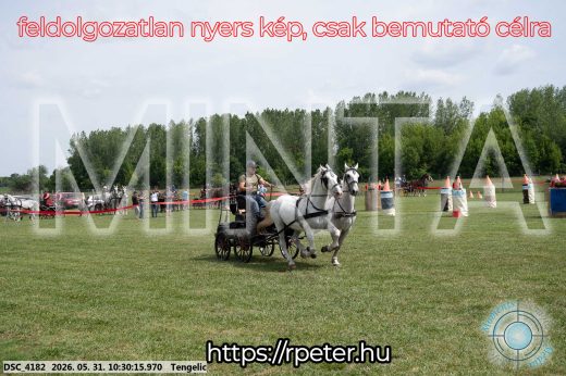Mintakép 20260531-1891