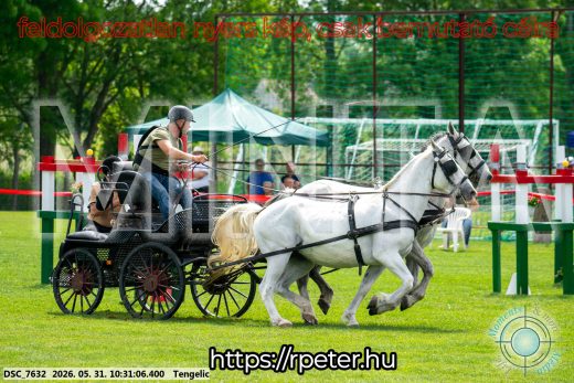 Mintakép 20260531-1894